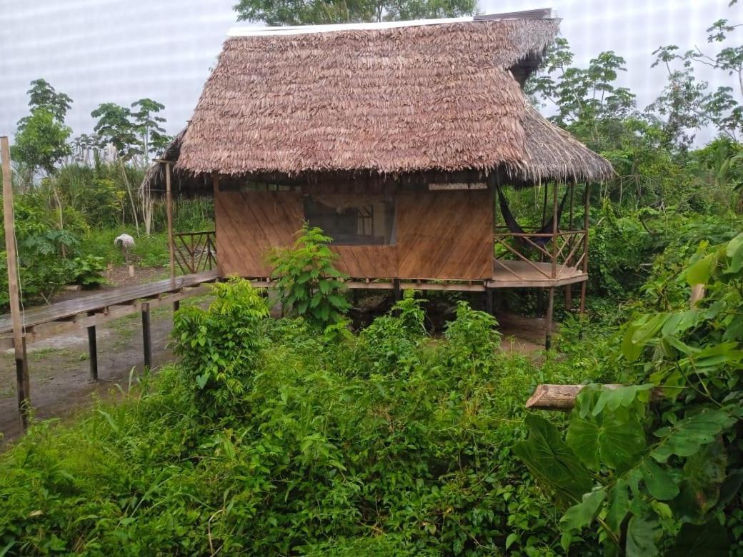 Camungo Lodge In Indigenous Community All Inclusive Nauta Exterior photo